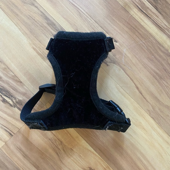 Treat your little fur ball size XS - Picture 7 of 16